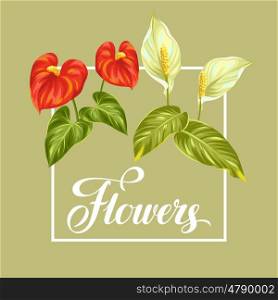 Greeting card with flowers spathiphyllum and anthurium. Greeting card with flowers spathiphyllum and anthurium.