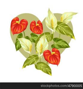 Greeting card with flowers spathiphyllum and anthurium. Greeting card with flowers spathiphyllum and anthurium.