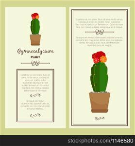 Greeting card with gymnocalycium decorative plant, square frame. Vector illustration. Greeting card with gymnocalycium plant