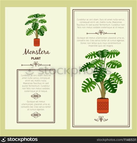 Greeting card with monstera decorative plant, square frame. Vector illustration. Greeting card with monstera plant