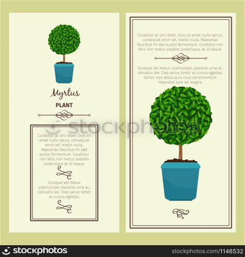 Greeting card with myrtus decorative plant, square frame. Vector illustration. Greeting card with myrtus plant