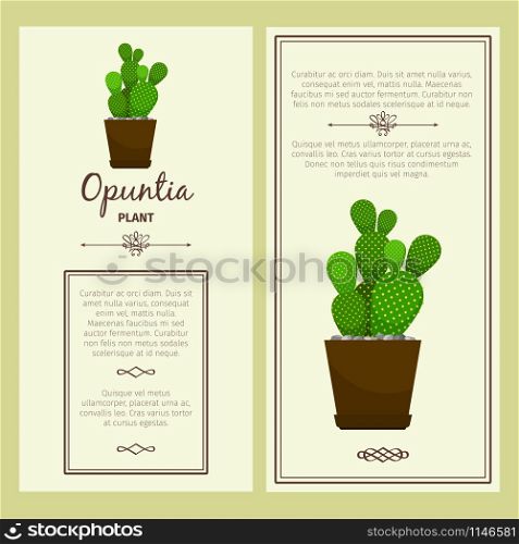 Greeting card with opuntia decorative plant, square frame. Vector illustration. Greeting card with opuntia plant