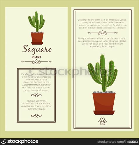 Greeting card with saguaro decorative plant, square frame. Vector illustration. Greeting card with saguaro plant