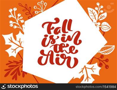 greeting card with text Fall is in the Air. Orange background and white leaves of maple, birch tree, october or november foliage, oak and fall nature season poster or banner design.. greeting card with text Fall is in the Air. Orange background and white leaves of maple, birch tree, october or november foliage, oak and fall nature season poster or banner design