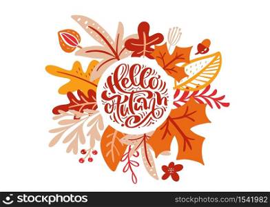 greeting card with text Hello Autumn. Orange leaves of maple, red foliage, oak and birch tree, fall nature season poster or thanksgiving day banner design.. greeting card with text Hello Autumn. Orange leaves of maple, red foliage, oak and birch tree, fall nature season poster or thanksgiving day banner design