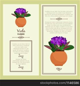 Greeting card with viola decorative plant, square frame. Vector illustration. Greeting card with viola plant