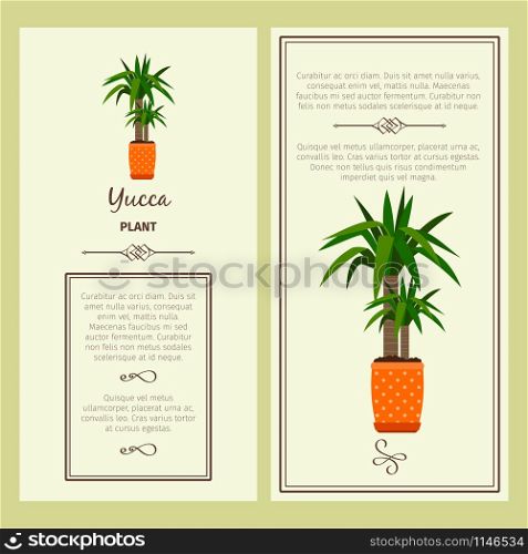 Greeting card with yucca decorative plant, square frame. Vector illustration. Greeting card with yucca plant