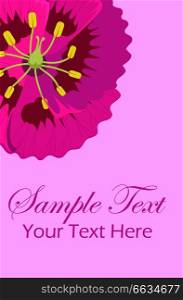Greeting leaflet with purple viola flower in top corner and s&le text inscription in centre on pink background vector illustration. Greeting leaflet with purple viola flower in corner