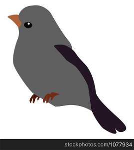 Grey bird, illustration, vector on white background.