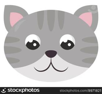 Grey cat, illustration, vector on white background
