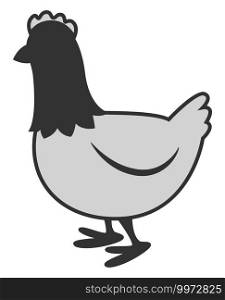 Grey chicken, illustration, vector on white background.