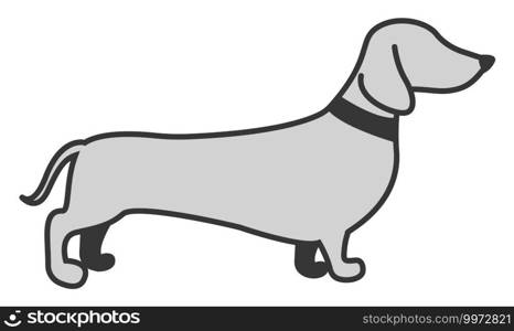 Grey dog, illustration, vector on white background.