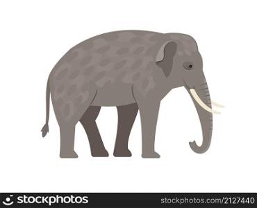 Grey elephant. Cartoon big character of zoo, funny and dangerous animal, vector illustration of exotic beast of wildlife isolated on white background. Cartoon grey elephant