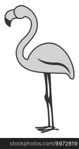 Grey flamingo, illustration, vector on white background.