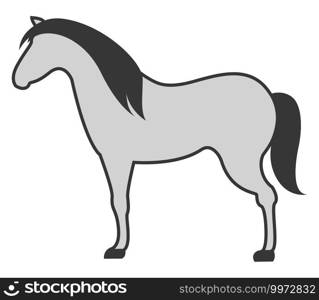 Grey horse, illustration, vector on white background.