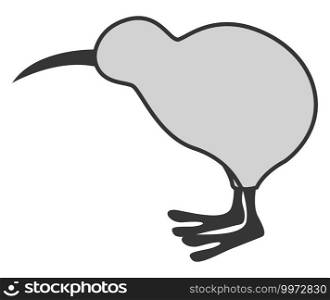 Grey Kiwi the bird, illustration, vector on white background.
