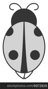Grey ladybug, illustration, vector on white background.