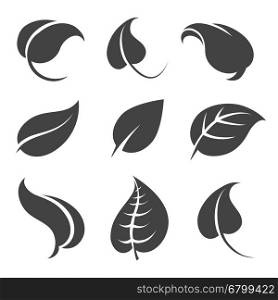 Grey leaves silhouettes on white background. Grey leaves silhouettes isolated on white background. Vector illustration
