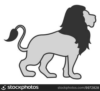 Grey lion, illustration, vector on white background.