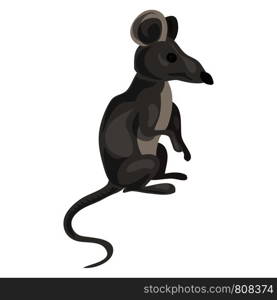 Grey mouse icon. Cartoon of grey mouse vector icon for web design isolated on white background. Grey mouse icon, cartoon style