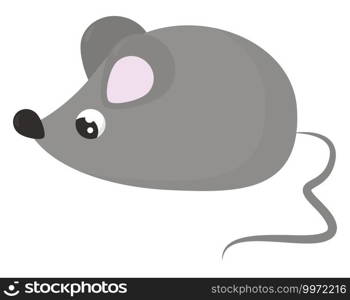 Grey mouse, illustration, vector on white background