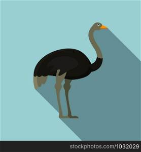 Grey ostrich icon. Flat illustration of grey ostrich vector icon for web design. Grey ostrich icon, flat style