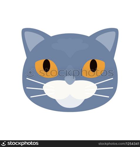Grey short haired british cat. Vector illustration.