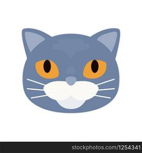 Grey short haired british cat. Vector illustration.