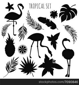 Grey tropical plants and flamingos silhouettes templates. Exotic bird and tropic leaf of palm. Vector illustration. Grey tropical plants and flamingos silhouettes templates