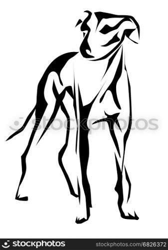 greyhound. abstract silhouette of dog on white background