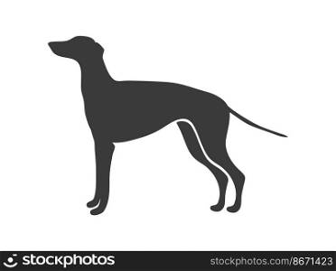 Greyhound silhouette. English big happy dog, vector icon isolated on white background. Greyhound silhouette. English big happy dog, vector icon