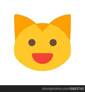 grinning cat, icon on isolated background,