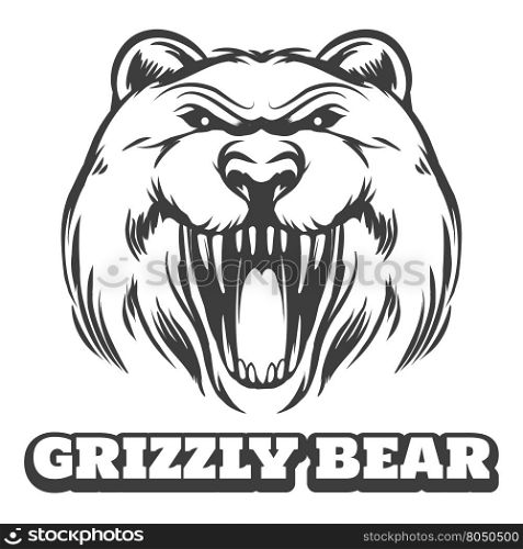 Grizzly bear head logo. Bear head logo. Grizzly bear icon with logo. Vector illustration