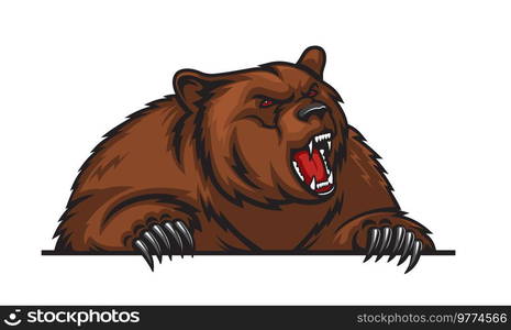 Grizzly bear mascot with claws, angry animal for sport team. Vector grizzly bear predator for school sport club or college and gym emblem of wild aggressive grizzly bear roaring. Grizzly bear mascot with claws, sport team animal