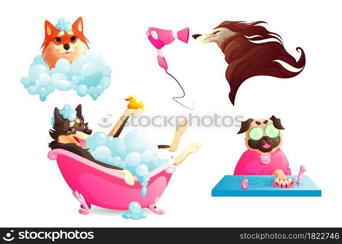 Grooming and spa salon for pets. Dogs washing in bathtub with soap foam, drying fur and manicure. Vector cartoon set of happy canine receive body care in salon or vet clinic. Grooming and spa salon for dogs