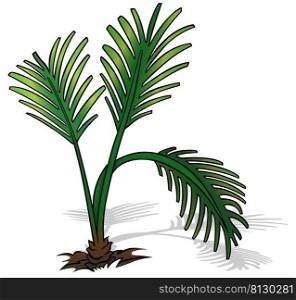 Ground Palm Tree with Leaves - Colored Cartoon Illustration Isolated on White Background, Vector