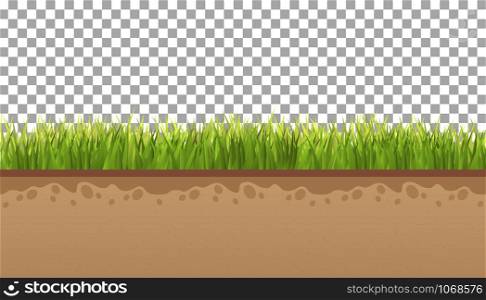 Ground with green grass On a transparent background. Vector illustrations