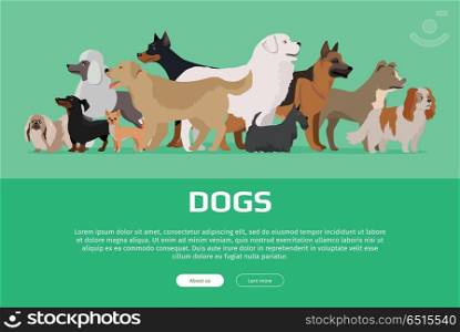 Group of Different Breeds Dogs.. Group of different breeds dogs stand on green background. Dogs banner with space for text. Vector illustration in flat style. Cartoon dog character, pet animal. Website horizontal template.