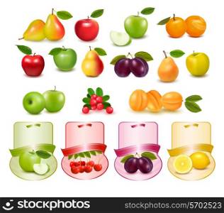 Group with different sorts of fruit and labels.