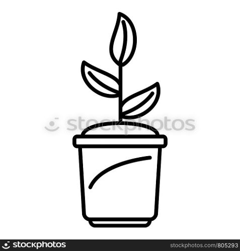 Grow plant pot icon. Outline grow plant pot vector icon for web design isolated on white background. Grow plant pot icon, outline style