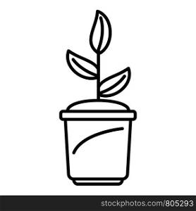Grow plant pot icon. Outline grow plant pot vector icon for web design isolated on white background. Grow plant pot icon, outline style