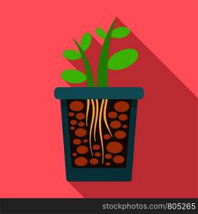 Grow plant rock pot icon. Flat illustration of grow plant rock pot vector icon for web design. Grow plant rock pot icon, flat style