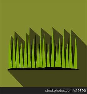 Growing grass flat icon on a green background. Growing grass flat icon