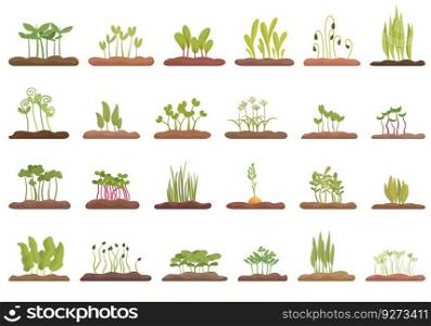 Growing microgreens icons set cartoon vector. Plant pea. Beet seed. Growing microgreens icons set cartoon vector. Plant pea