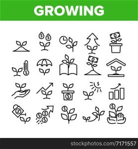 Growing Money Plant Collection Icons Set Vector. Growing Leaves Tree With Banknote And Graphic Arrow, Hands Holding Branch Concept Linear Pictograms. Monochrome Contour Illustrations. Growing Money Plant Collection Icons Set Vector