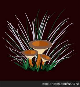 Growing Oyster mushroom, summer mushrooms. Flat Cartoon style. Vector illustration.. Growing oyster mushroom, summer mushrooms
