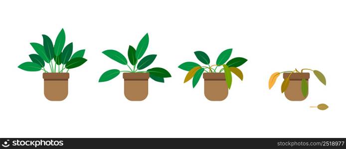 Growing phase flowerpot in flat style. Gardening concept. Vector illustration. Stock image. EPS 10.. Growing phase flowerpot in flat style. Gardening concept. Vector illustration. Stock image.