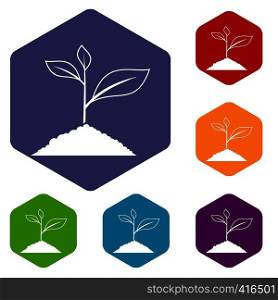 Growing plant icons set rhombus in different colors isolated on white background. Growing plant icons set