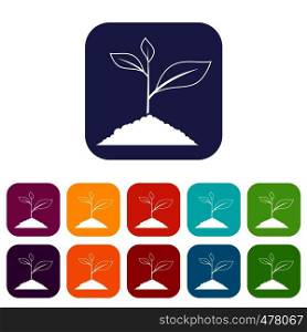Growing plant icons set vector illustration in flat style in colors red, blue, green, and other. Growing plant icons set