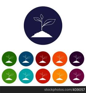 Growing plant set icons in different colors isolated on white background. Growing plant set icons